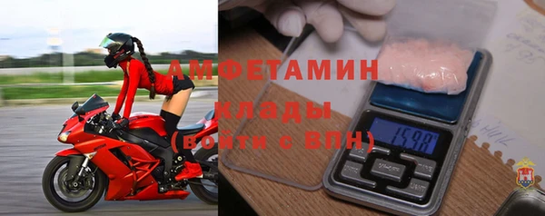 стаф Аркадак