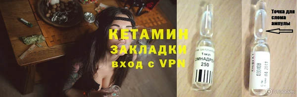 стаф Аркадак