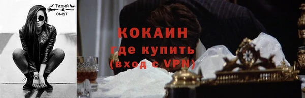 молекула духа Арсеньев