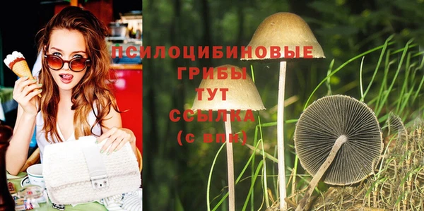 молекула духа Арсеньев
