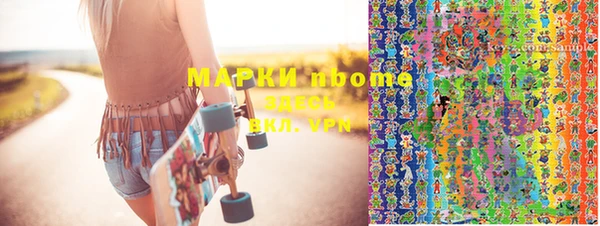стаф Аркадак