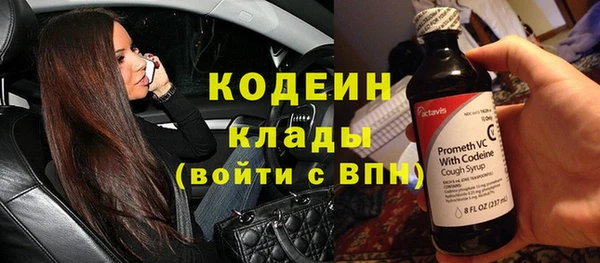 стаф Аркадак