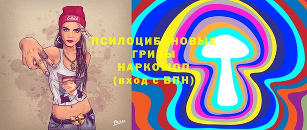 молекула духа Арсеньев