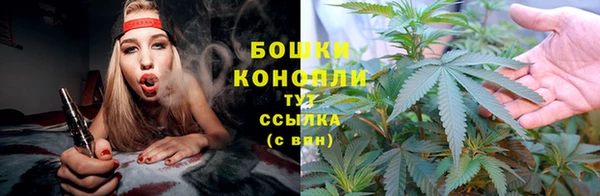 стаф Баксан