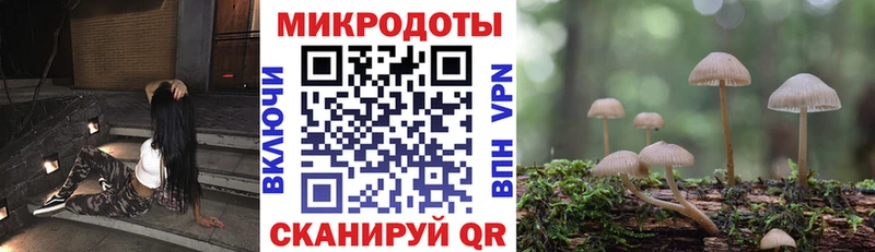 Галлюциногенные грибы GOLDEN TEACHER  Ельня 